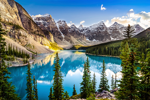 Eco Green Land Eco Green Land